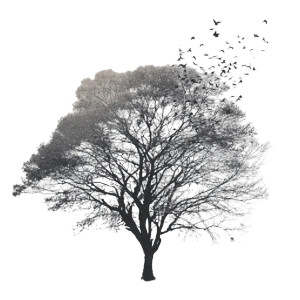 Tree With Birds Vinyl Car Decal Sticker – Waterproof & UV-Resistant 6.826666666666667"