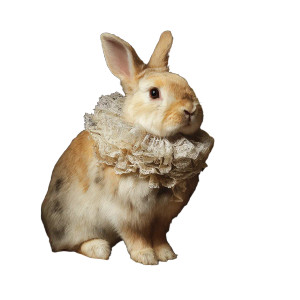 Fluffy Rabbit Portrait Vinyl Car Decal Sticker – Waterproof & UV-Resistant 3.4133333333333336"