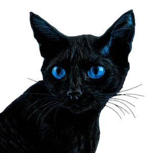 Amazing Black Cat Vinyl Car Decal Sticker – Waterproof & UV-Resistant 6.826666666666667"