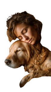 Sleeping With Retriever Vinyl Car Decal Sticker – Waterproof & UV-Resistant 4.8533333333333335"