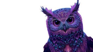 Psychedelic Fractal Owl Vinyl Car Decal Sticker – Waterproof & UV-Resistant 2.72"