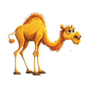 Cartoon Camel Drinking Vinyl Car Decal Sticker – Waterproof & UV-Resistant 3.4133333333333336"