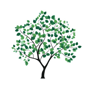 Green Plum Tree Vinyl Car Decal Sticker – Waterproof & UV-Resistant 3.4133333333333336"