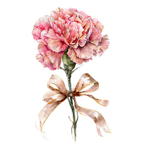 Pink Carnation Bouquet V3 Vinyl Car Decal Sticker – Waterproof & UV-Resistant 6.826666666666667"