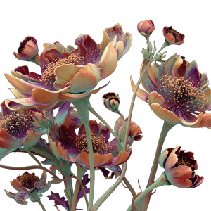 Cosmic Morphic Flowers Vinyl Car Decal Sticker – Waterproof & UV-Resistant 3.4133333333333336"