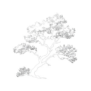 Juniper Tree Logo Vinyl Car Decal Sticker – Waterproof & UV-Resistant 3.4133333333333336"