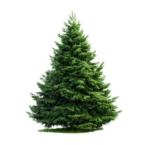 Christmas Tree V15 Vinyl Car Decal Sticker – Waterproof & UV-Resistant 3.4133333333333336"