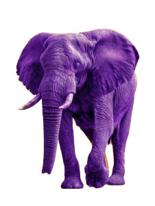 Purple Elephant Vinyl Car Decal Sticker – Waterproof & UV-Resistant 8.213333333333333" Purple Elephant Vinyl Car Decal Sticker – Waterproof & UV-Resistant 8.213333333333333"