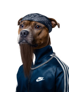 Gangster Bull Terrier Vinyl Car Decal Sticker – Waterproof & UV-Resistant 8.213333333333333"
