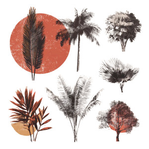 Palm Leaf Clipart Vinyl Car Decal Sticker – Waterproof & UV-Resistant 6.826666666666667"