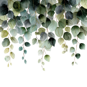 Watercolor Eucalyptus Leaves Vinyl Car Decal Sticker – Waterproof & UV-Resistant 3.4133333333333336" Watercolor Eucalyptus Leaves Vinyl Car Decal Sticker – Waterproof & UV-Resistant 3.4133333333333336"