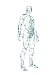 3D Human Wireframe Vinyl Car Decal Sticker – Waterproof & UV-Resistant 8.213333333333333"