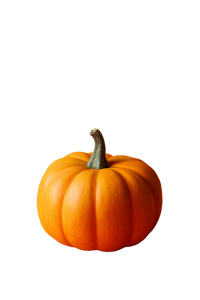Pumpkin On Orange Vinyl Car Decal Sticker – Waterproof & UV-Resistant 8.96"