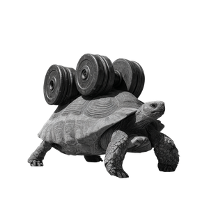 Muscular Tortoise Journey Vinyl Car Decal Sticker – Waterproof & UV-Resistant 6.826666666666667"