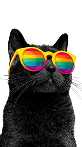Rainbow Sunglasses Cat V2 Vinyl Car Decal Sticker – Waterproof & UV-Resistant 9.706666666666667"