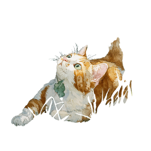 Playful Cat V11 Vinyl Car Decal Sticker – Waterproof & UV-Resistant 3.4133333333333336"