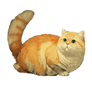 Chubby Napoleon Cat Vinyl Car Decal Sticker – Waterproof & UV-Resistant 6.826666666666667"