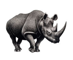 Linocut Rhinoceros Vinyl Car Decal Sticker – Waterproof & UV-Resistant 6.613333333333333" Linocut Rhinoceros Vinyl Car Decal Sticker – Waterproof & UV-Resistant 6.613333333333333"
