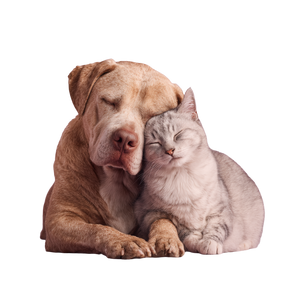 Cuddling Cat Dog V2 Vinyl Car Decal Sticker – Waterproof & UV-Resistant 3.4133333333333336"