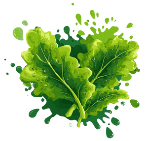 Green Kale Splash Vinyl Car Decal Sticker – Waterproof & UV-Resistant 3.4133333333333336"