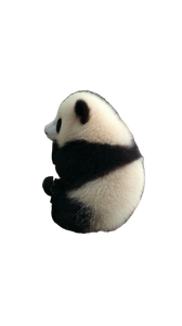 Sleeping Panda V4 Vinyl Car Decal Sticker – Waterproof & UV-Resistant 4.8533333333333335"