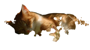 Sleeping Tabby Cat V16 Vinyl Car Decal Sticker – Waterproof & UV-Resistant 5.4