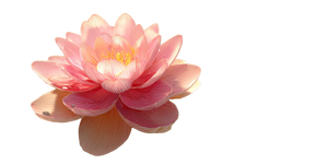 Pink Lotus Bloom V15 Vinyl Car Decal Sticker – Waterproof & UV-Resistant 5.12"