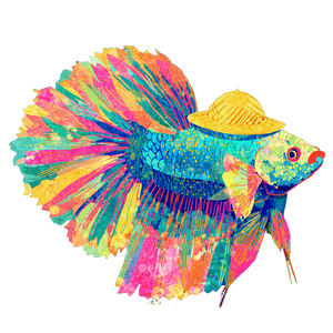 Tanabata Betta Vinyl Car Decal Sticker – Waterproof & UV-Resistant 3.4133333333333336" Tanabata Betta Vinyl Car Decal Sticker – Waterproof & UV-Resistant 3.4133333333333336"