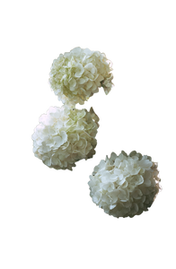 White Hydrangea Blooms Vinyl Car Decal Sticker – Waterproof & UV-Resistant 4.4