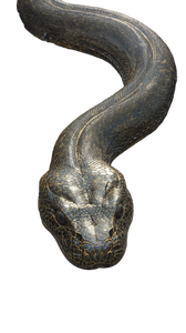 Massive City Snake Vinyl Car Decal Sticker – Waterproof & UV-Resistant 9.706666666666667"