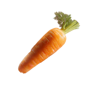 Bubbled Carrot Vinyl Car Decal Sticker – Waterproof & UV-Resistant 3.4133333333333336" Bubbled Carrot Vinyl Car Decal Sticker – Waterproof & UV-Resistant 3.4133333333333336"