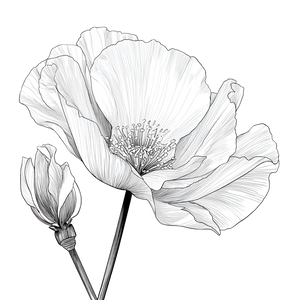 Poppy Line Art Vinyl Car Decal Sticker – Waterproof & UV-Resistant 6.826666666666667"