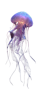 Glowing Jellyfish V16 Vinyl Car Decal Sticker – Waterproof & UV-Resistant 5.493333333333333"