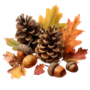 Autumn Nature Clipart V2 Vinyl Car Decal Sticker – Waterproof & UV-Resistant 6.826666666666667"