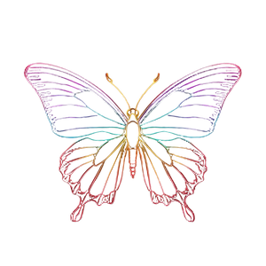 Rainbow Butterfly V5 Vinyl Car Decal Sticker – Waterproof & UV-Resistant 6.826666666666667" Rainbow Butterfly V5 Vinyl Car Decal Sticker – Waterproof & UV-Resistant 6.826666666666667"