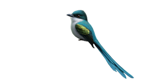 Elegant Blue Bird Vinyl Car Decal Sticker – Waterproof & UV-Resistant 5.4