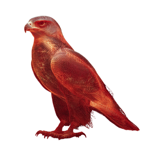 Data Falcon Hologram Vinyl Car Decal Sticker – Waterproof & UV-Resistant 6.826666666666667"