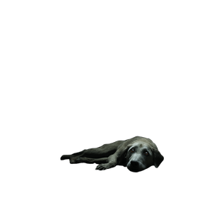 Sad Old Dog Vinyl Car Decal Sticker – Waterproof & UV-Resistant 6.826666666666667"