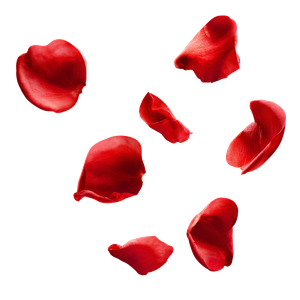 Floating Rose Petals Vinyl Car Decal Sticker – Waterproof & UV-Resistant 3.4133333333333336"