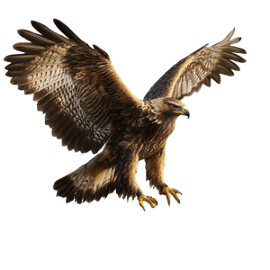 Golden Eagle Perched V3 Vinyl Car Decal Sticker – Waterproof & UV-Resistant 3.4133333333333336"