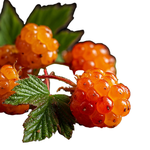 Voluminous Cloudberries Vinyl Car Decal Sticker – Waterproof & UV-Resistant 3.4133333333333336"