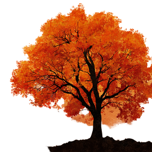 Autumn Tree Silhouette V2 Vinyl Car Decal Sticker – Waterproof & UV-Resistant 6.826666666666667"