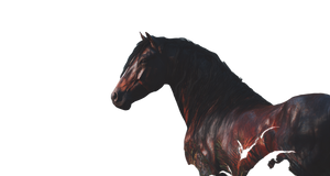 Proud Horse V2 Vinyl Car Decal Sticker – Waterproof & UV-Resistant 5.333333333333333"