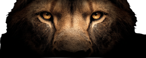 Majestic Lion Face Vinyl Car Decal Sticker – Waterproof & UV-Resistant 4.586666666666667"