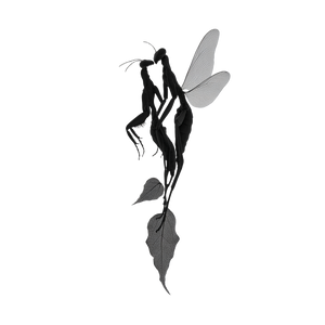 Loving Mantis Duo Vinyl Car Decal Sticker – Waterproof & UV-Resistant 6.826666666666667"