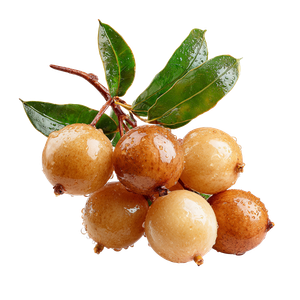 Shiny Longan Fruit Vinyl Car Decal Sticker – Waterproof & UV-Resistant 3.4133333333333336"
