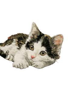 Cute Cat Watercolor Vinyl Car Decal Sticker – Waterproof & UV-Resistant 8.213333333333333" Cute Cat Watercolor Vinyl Car Decal Sticker – Waterproof & UV-Resistant 8.213333333333333"
