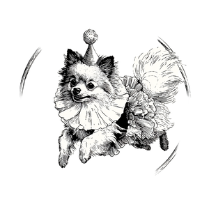 Circus Pomeranian Jump Vinyl Car Decal Sticker – Waterproof & UV-Resistant 3.4133333333333336"