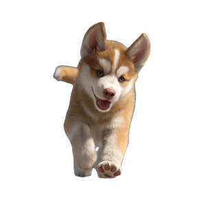 Happy Husky Puppy V3 Vinyl Car Decal Sticker – Waterproof & UV-Resistant 3.4133333333333336"