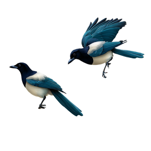 Taiwan Blue Magpies Vinyl Car Decal Sticker – Waterproof & UV-Resistant 3.4133333333333336"